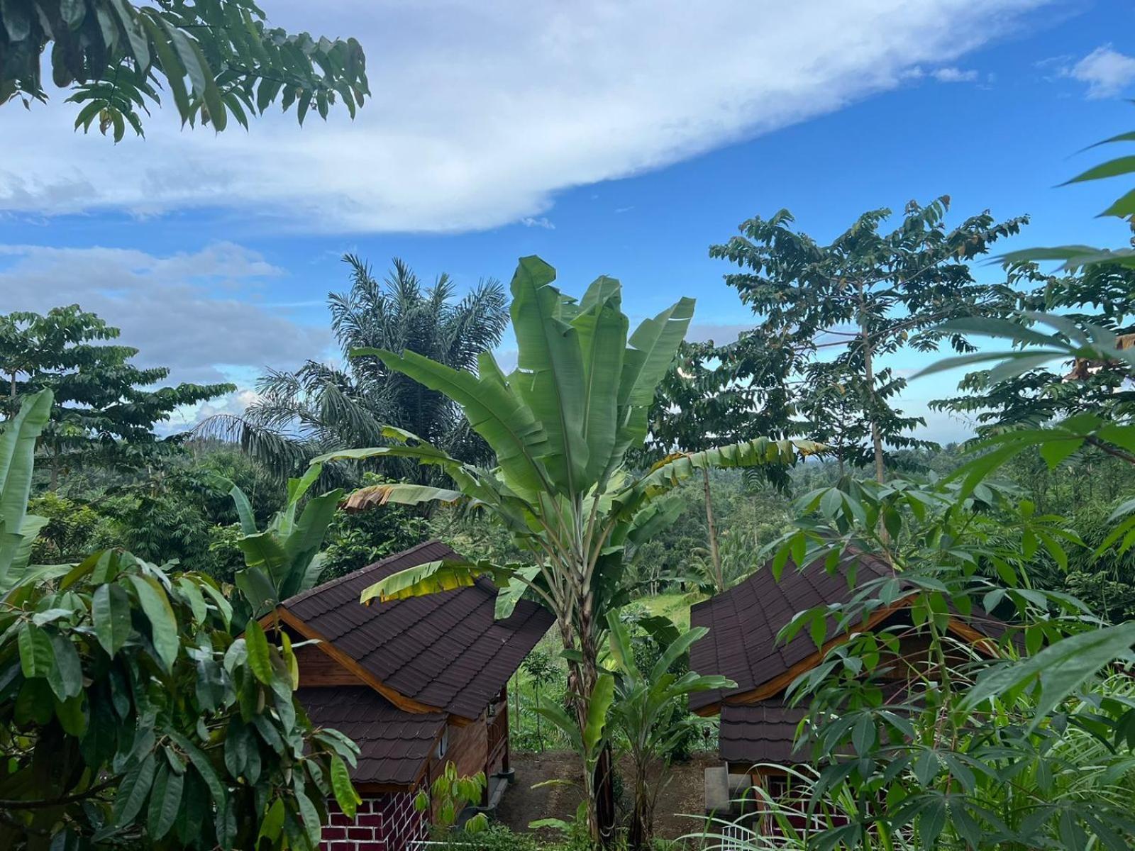Serenity Lodge Tetebatu Lombok Exterior photo